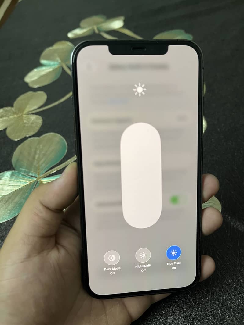 Iphone 12 pro max 10