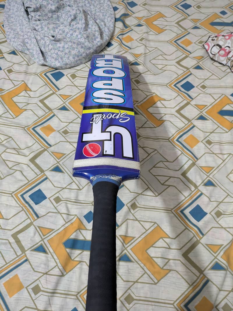 cricket bat 0