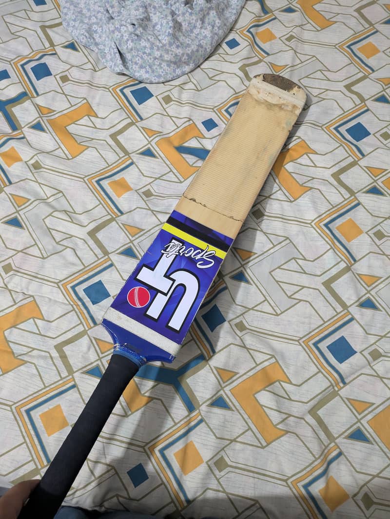 cricket bat 1