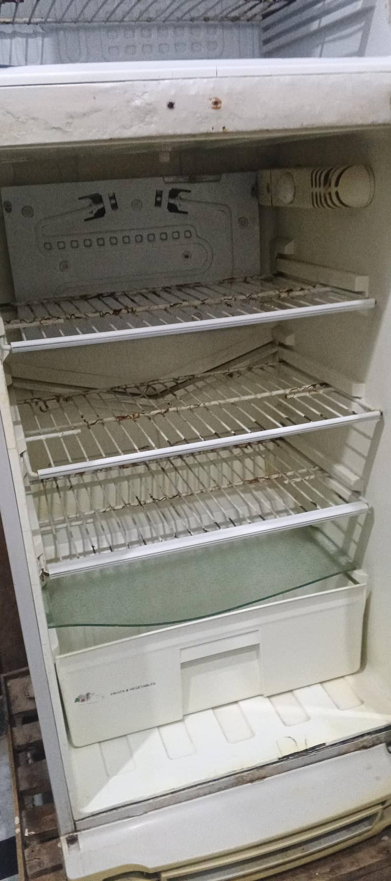 fridge 4