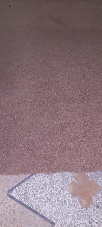 Brown carpet 13x25 foot