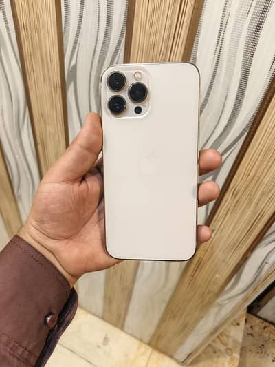 Apple iphone 13 promax