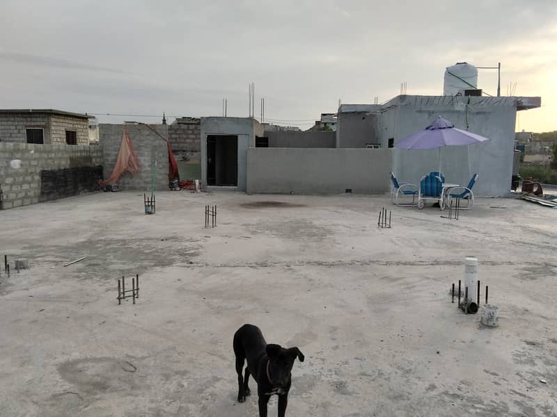 Hostels 19