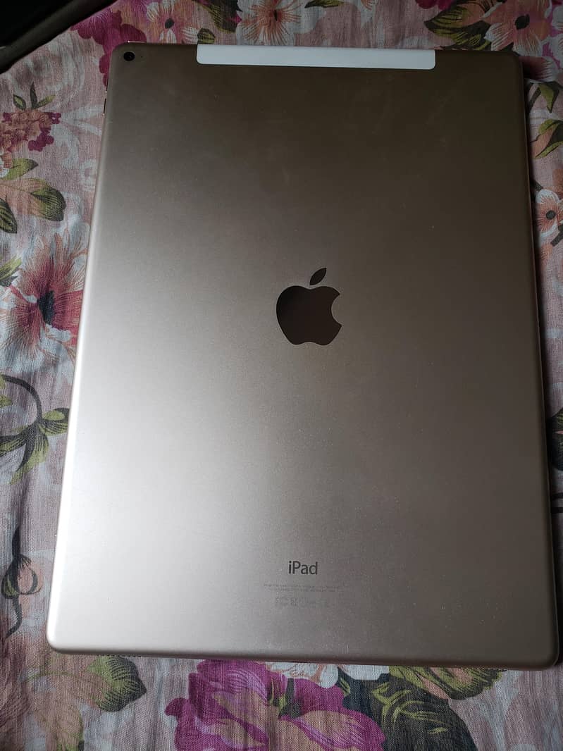 Ipad Pro 12.9 Inch 1