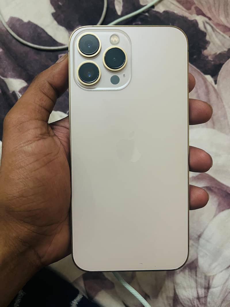 13 pro max 1