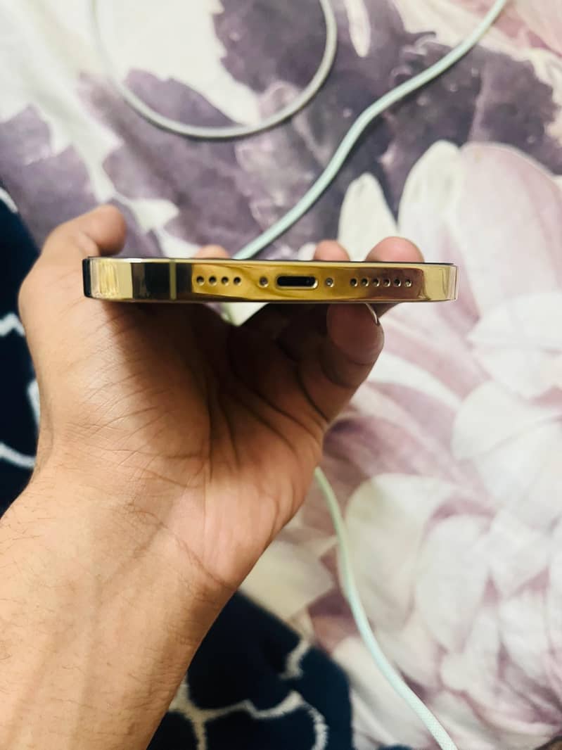 13 pro max 3