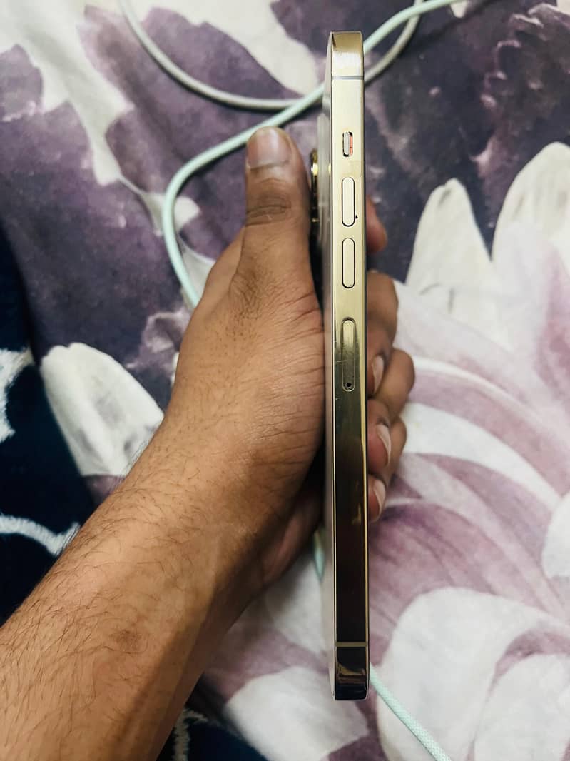 13 pro max 5