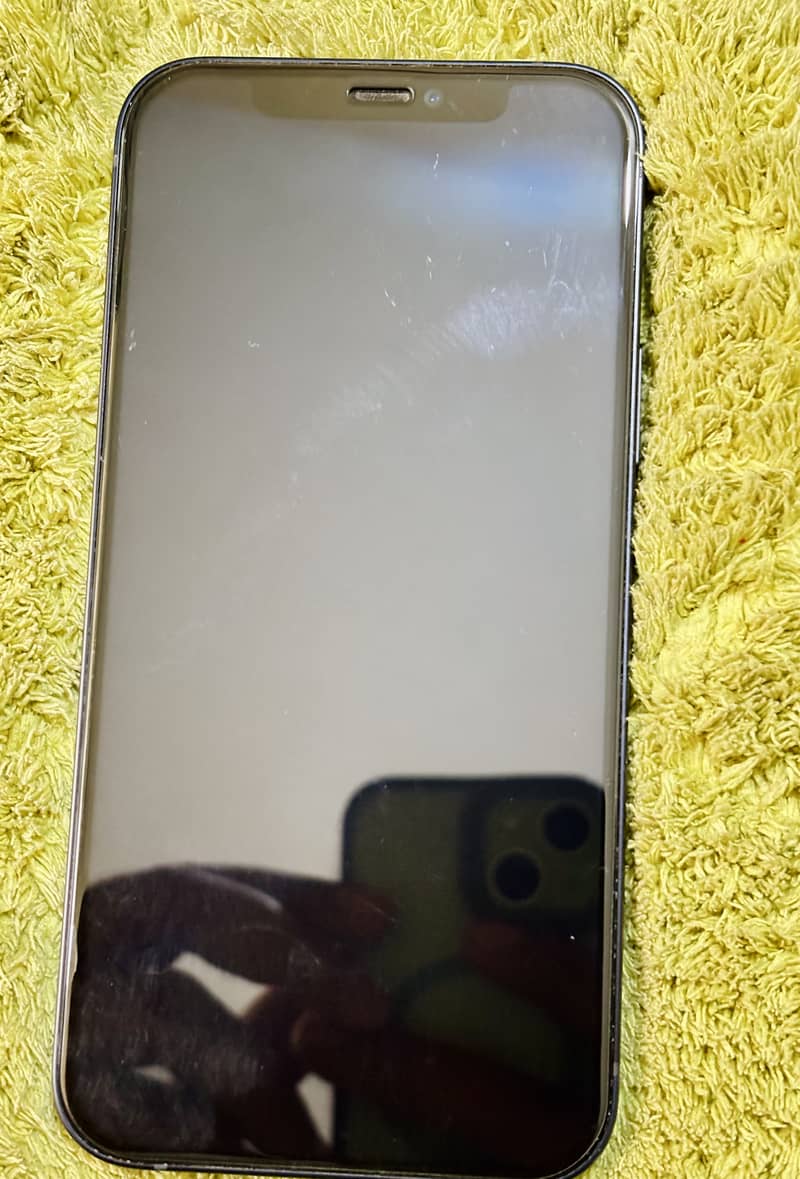 Apple iPhone 12 1