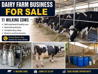 Running Bussines for Sale
