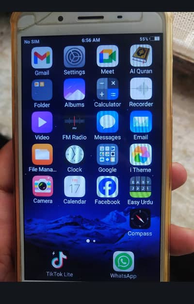 vivo 4/64 GB