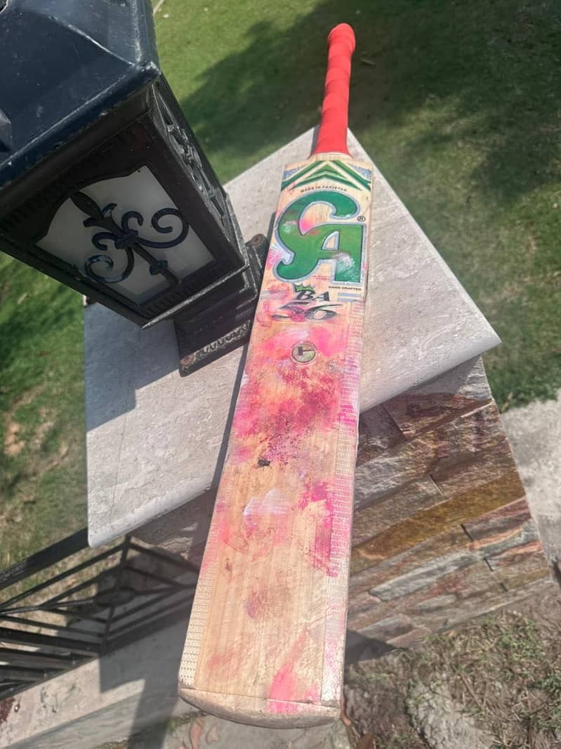 Cricket bat 2