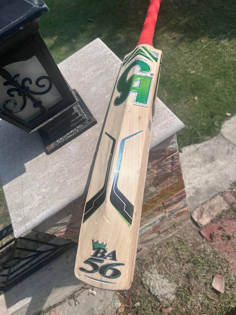 Cricket bat 3