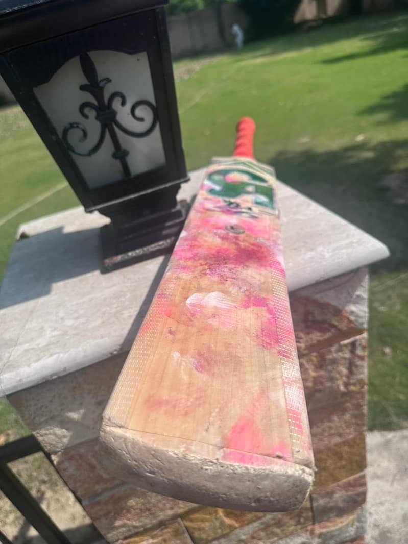 Cricket bat 4