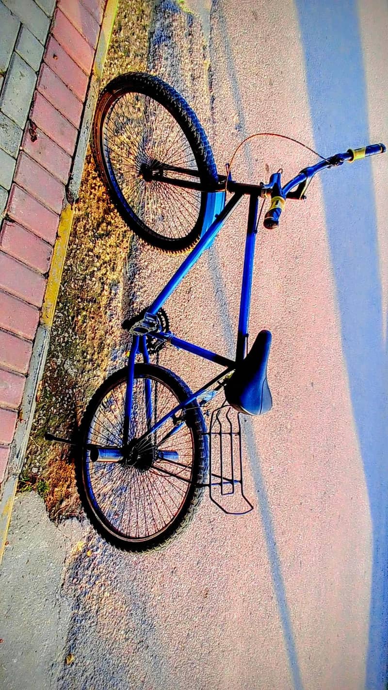 PHONEX CYCLE 0