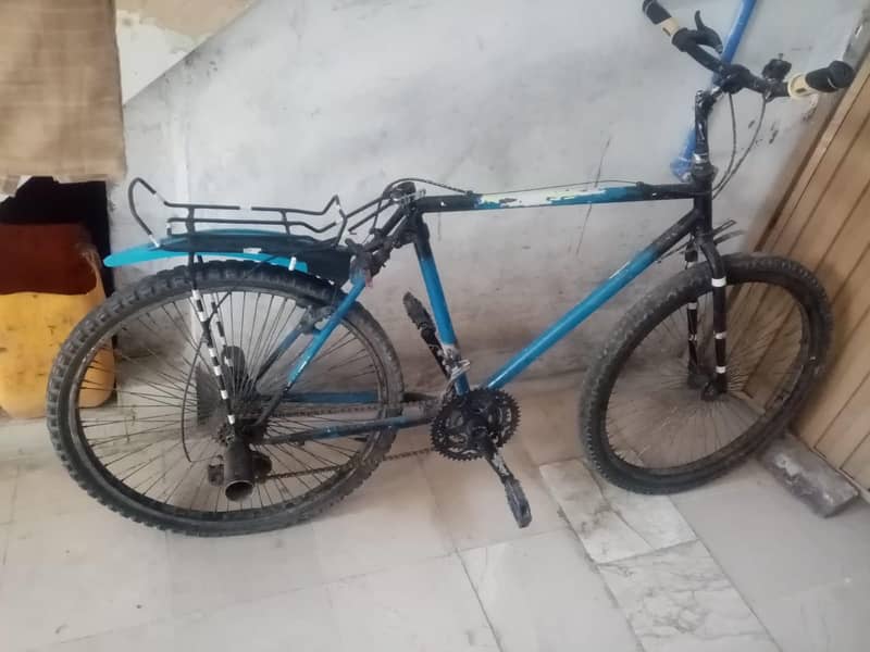 PHONEX CYCLE 1