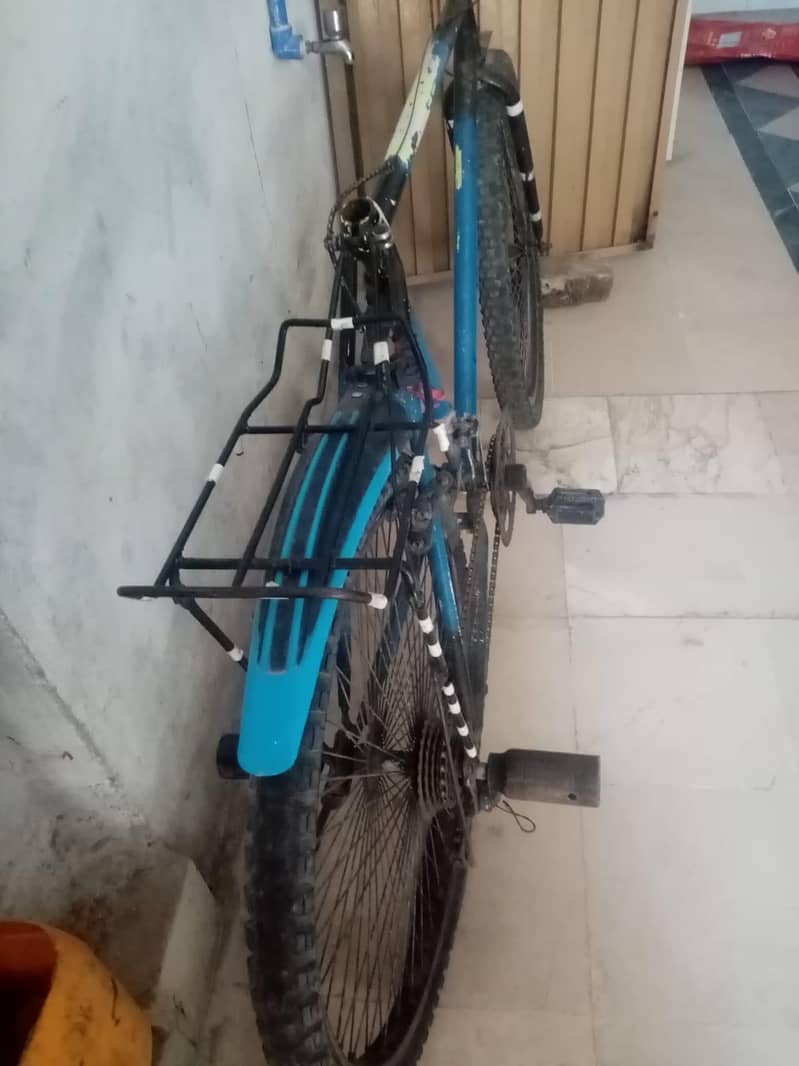 PHONEX CYCLE 2