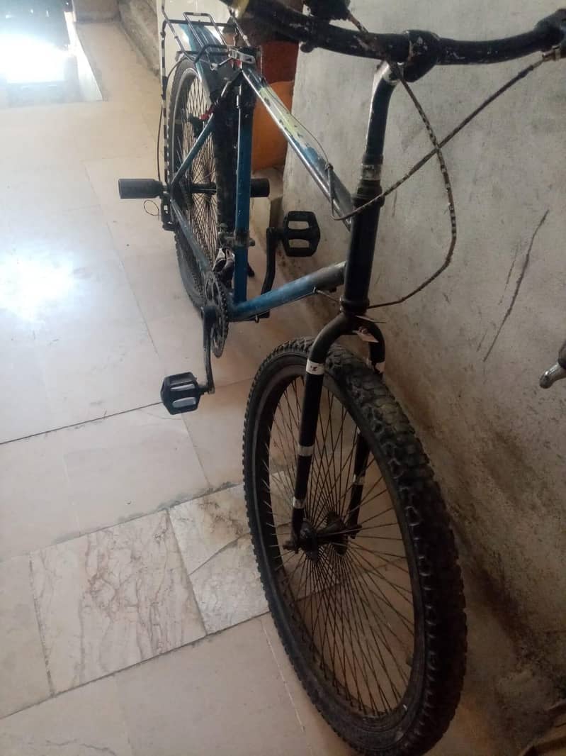 PHONEX CYCLE 3
