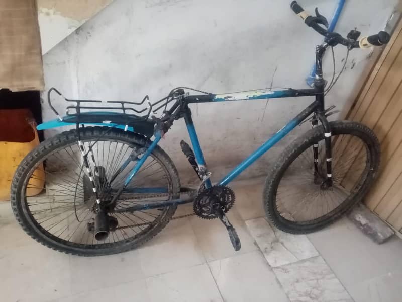 PHONEX CYCLE 4