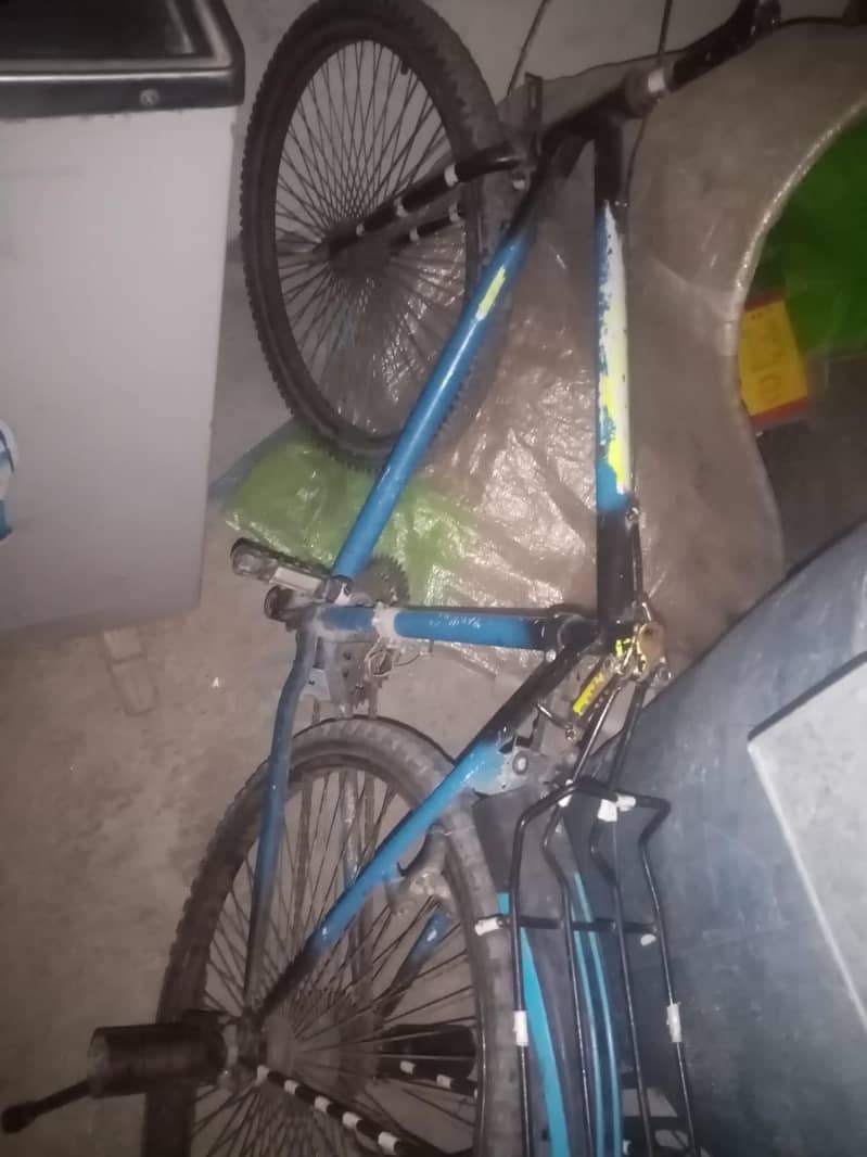 PHONEX CYCLE 5