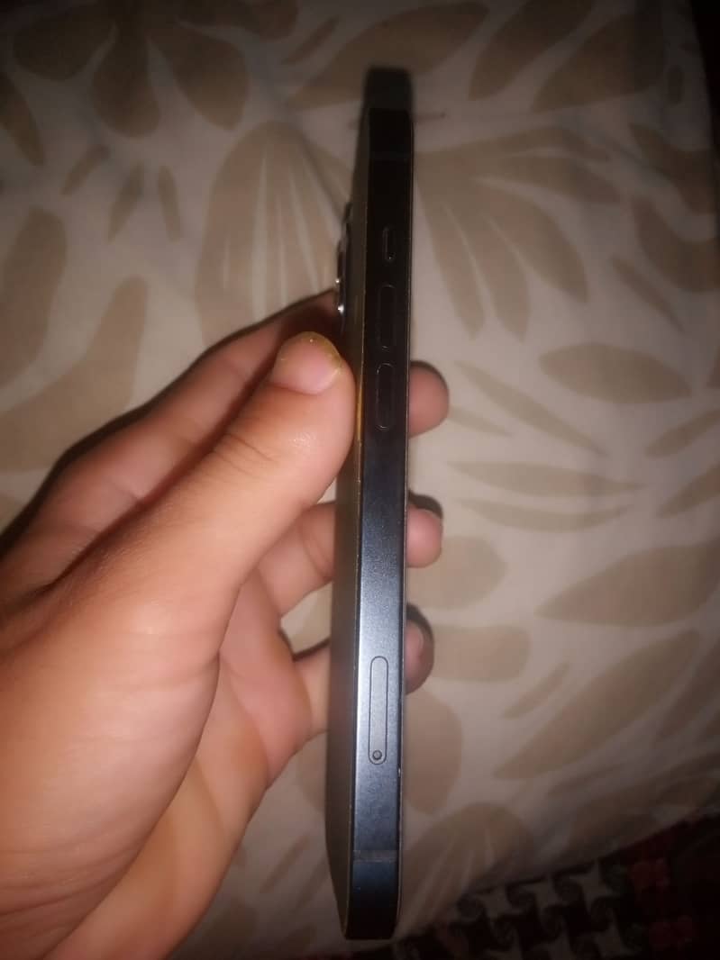 Apple 13 0