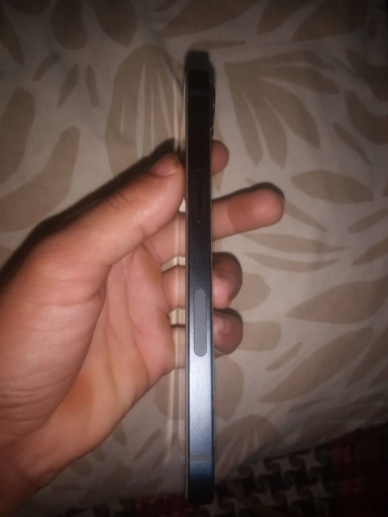 Apple 13 10