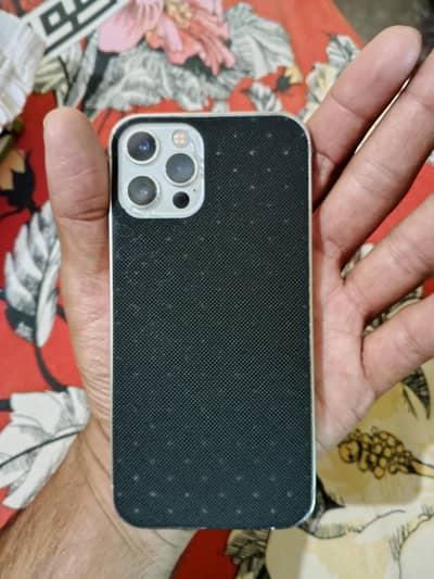12 pro pta 256 gb