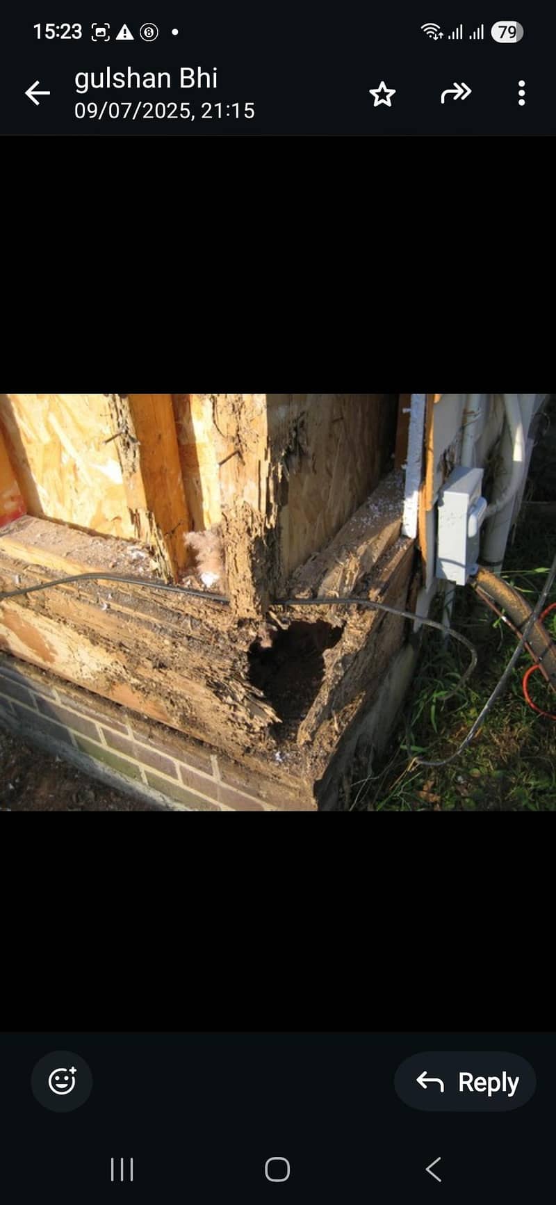 Termite control/cockroach control/pest control/fumigation 1