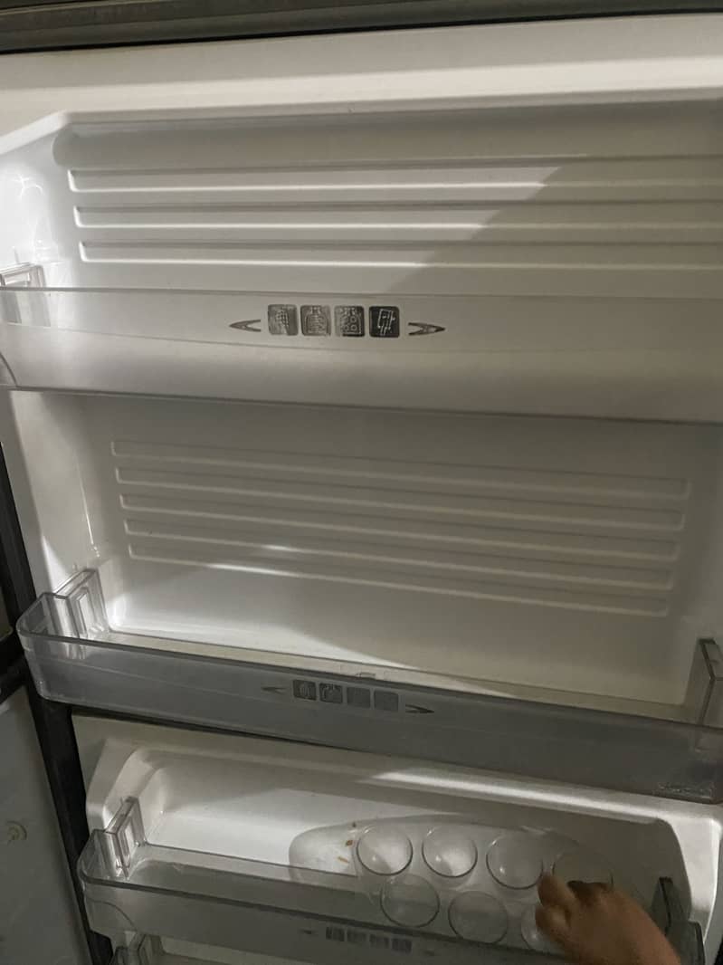 Freezer 4