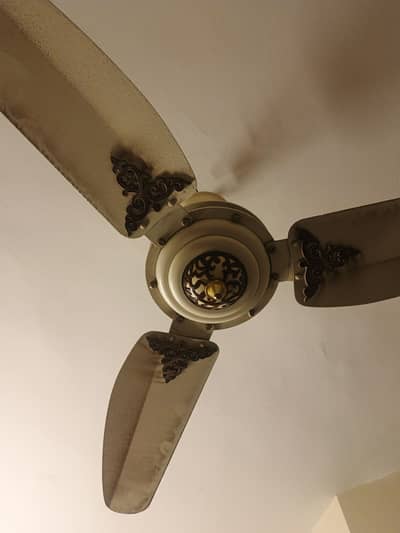 1 Fancy Fan