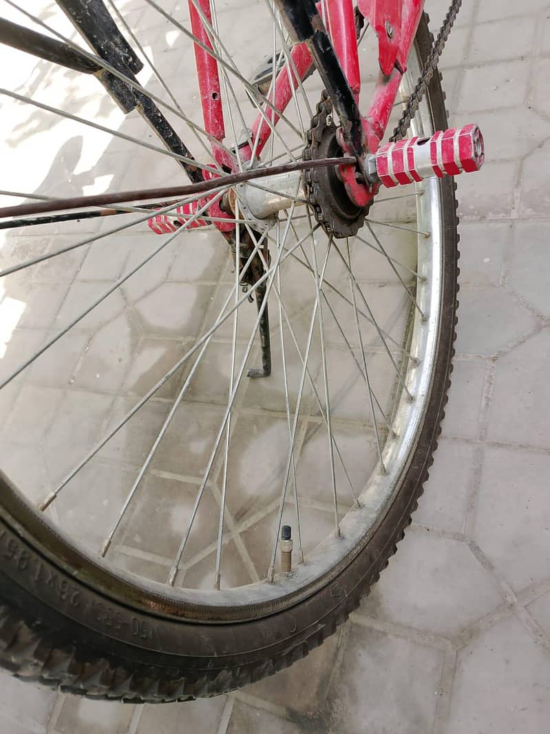 cycle 1