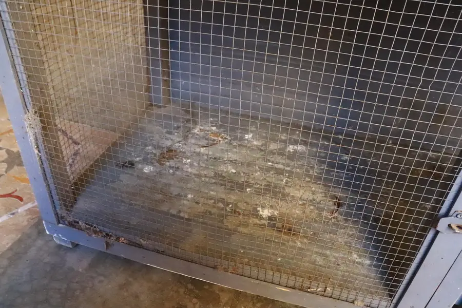 Cage for sale — photo 3