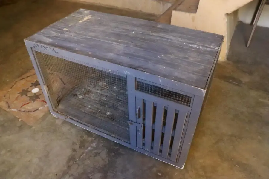 Cage for sale — photo 4