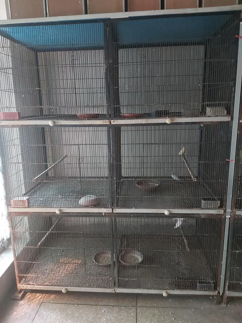 Cage for sale