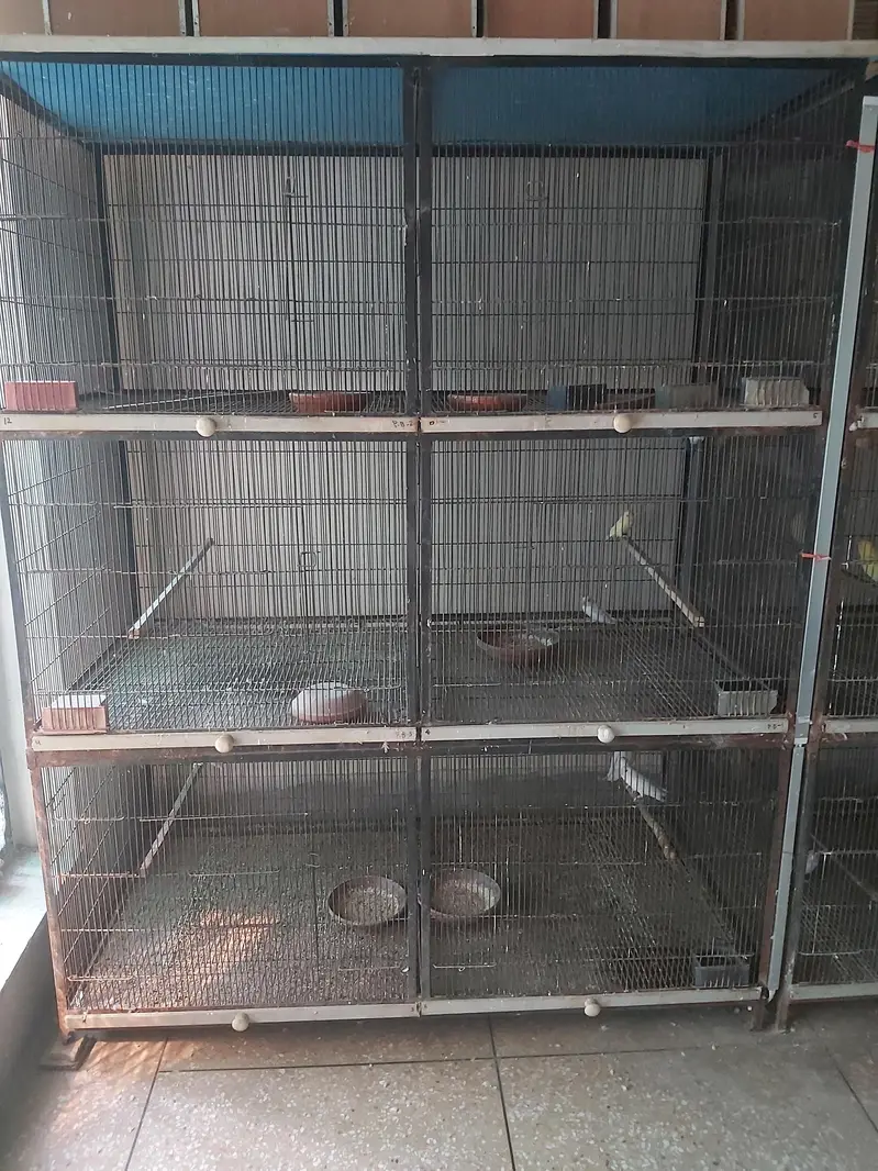 Cage for sale — photo 2