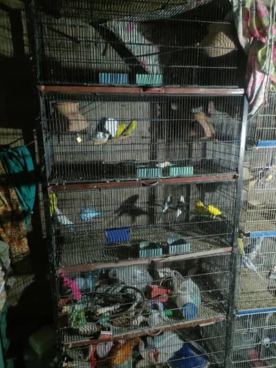 cage for sale
