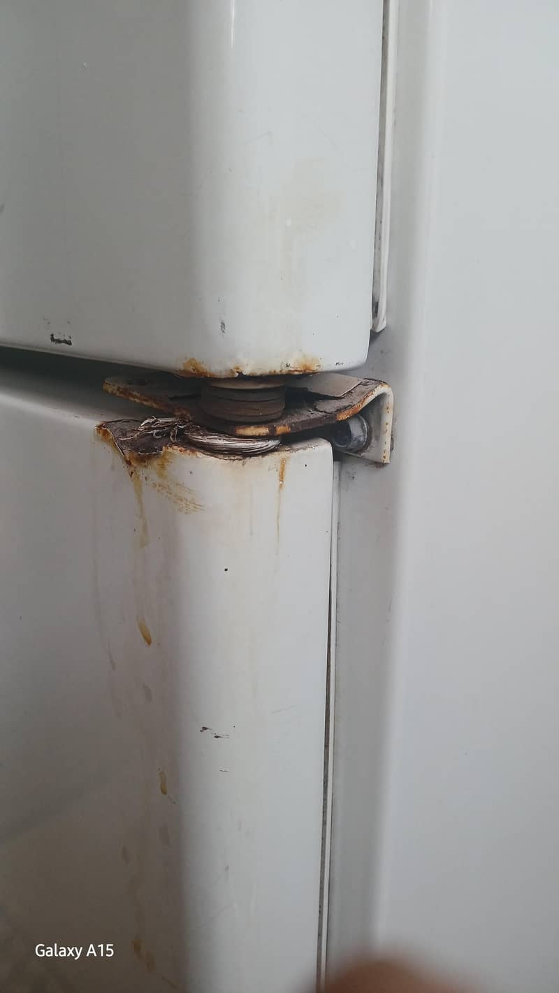 fridge full size 4