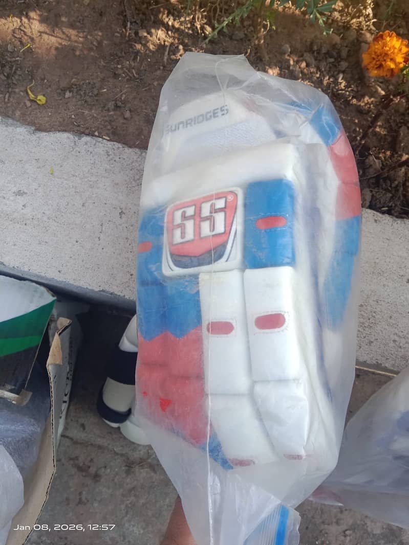 Cricket kit 5