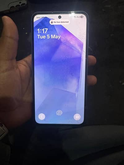 Samsung Galaxy A55 5G