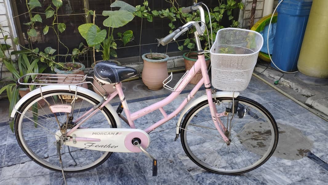 Medium size bicycle 0