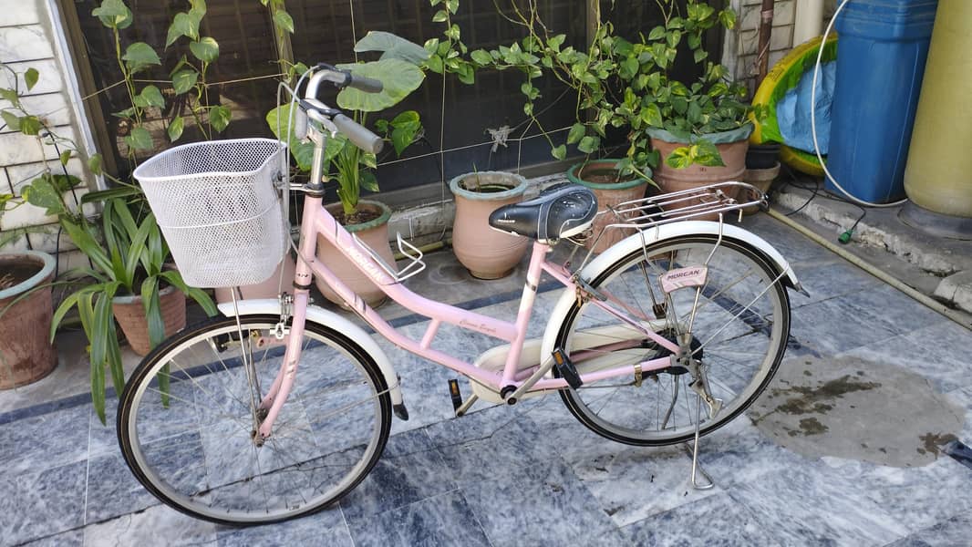 Medium size bicycle 1