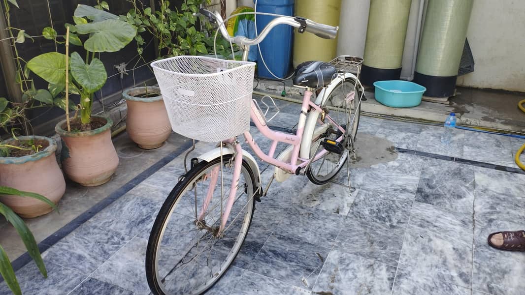 Medium size bicycle 2