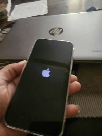 white gold iphone 13promax
