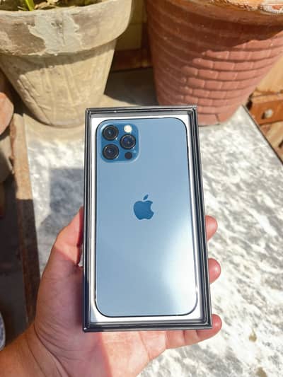 IPhone 12 pro dual PTA with box