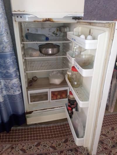 refrigerator