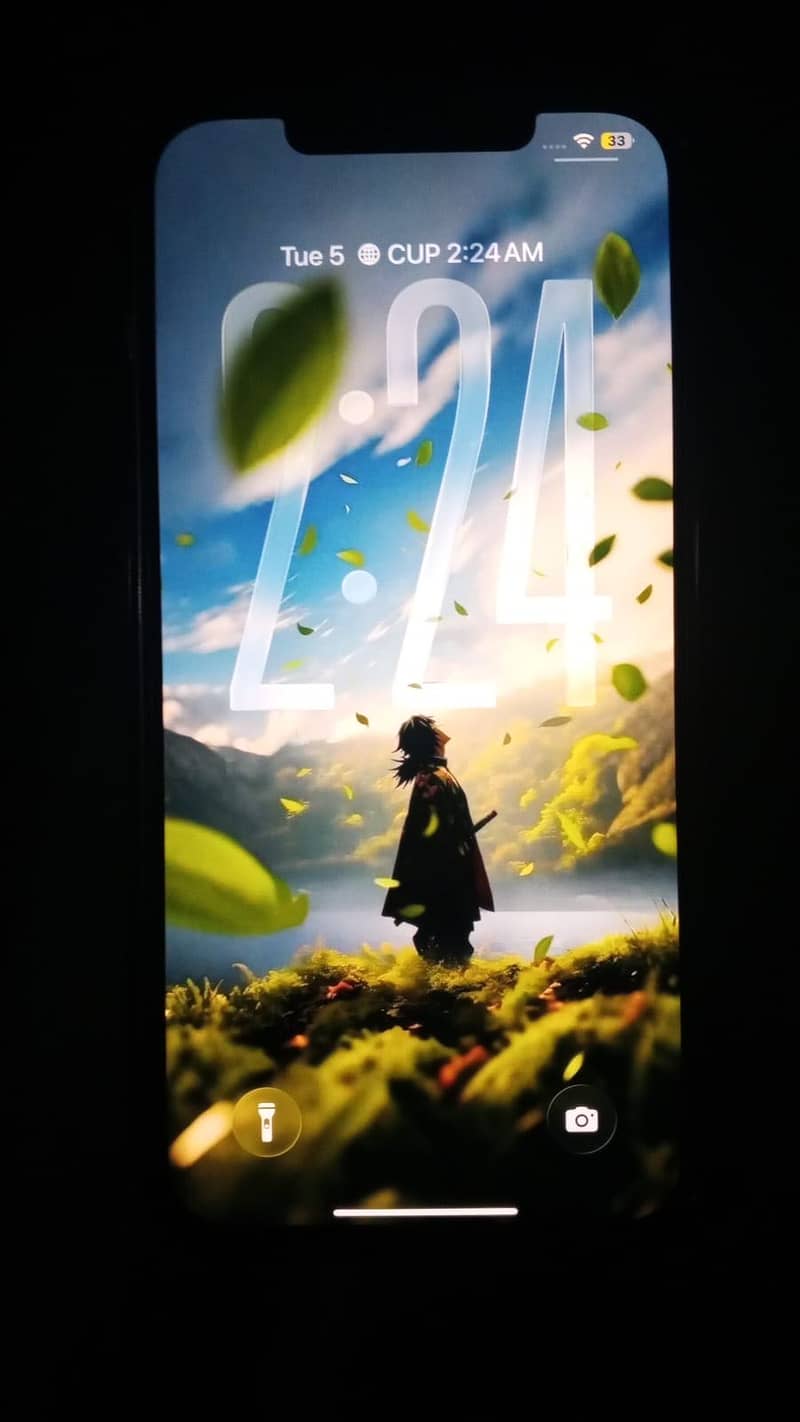 IPHONE 12 pro max 4