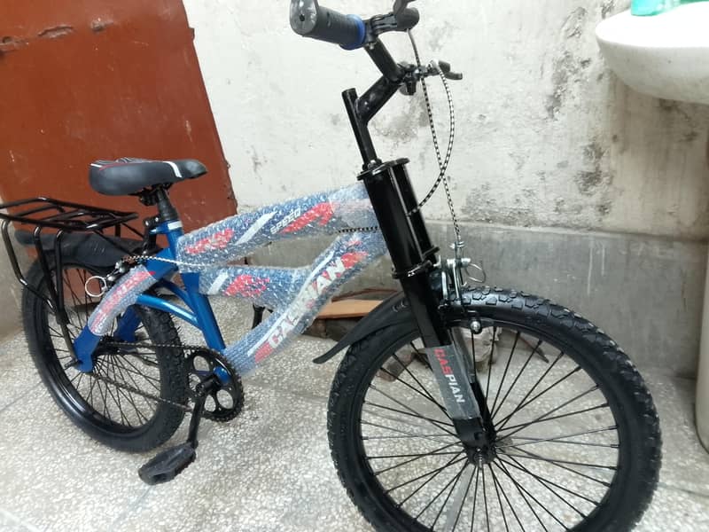 important bicycle 0
