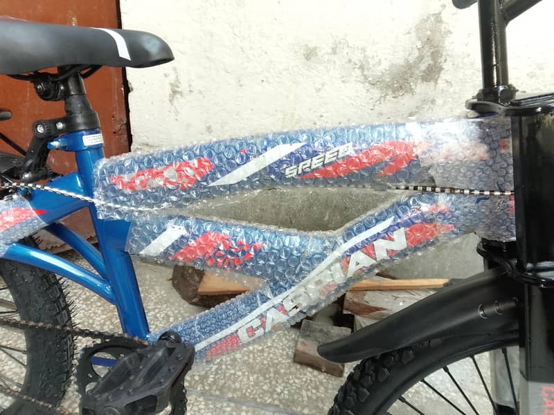 important bicycle 2