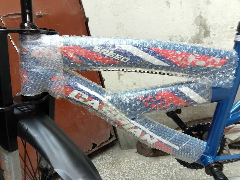 important bicycle 4