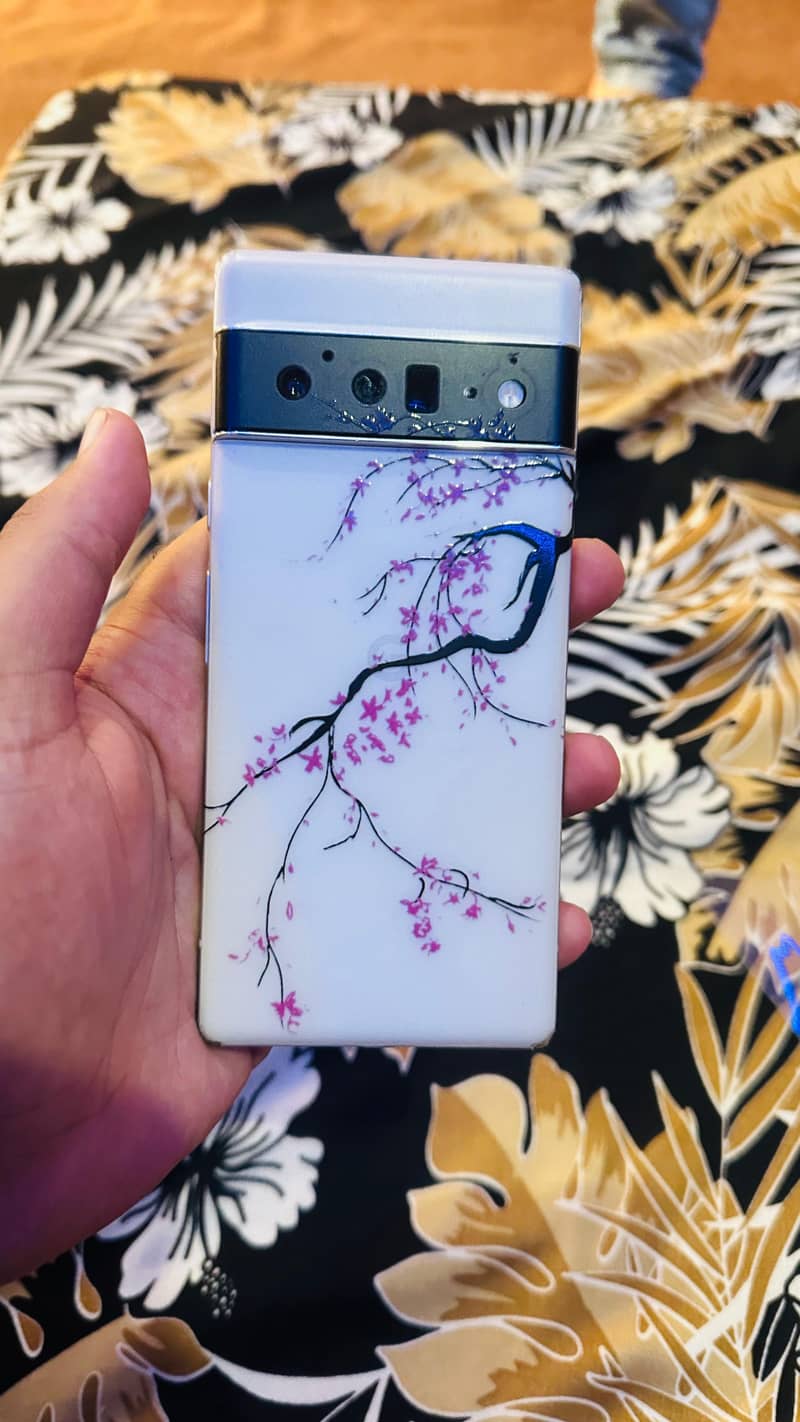 Google pixel 6 pro 1