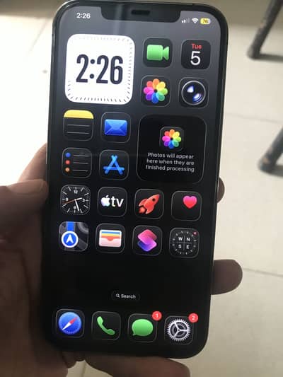 12 pro max